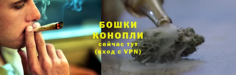 Канабис White Widow  Верхняя Салда 